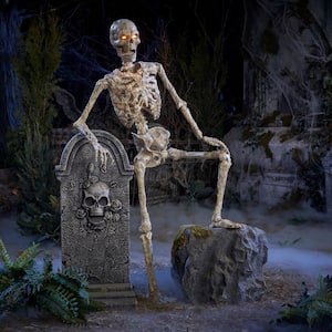 Skeleton