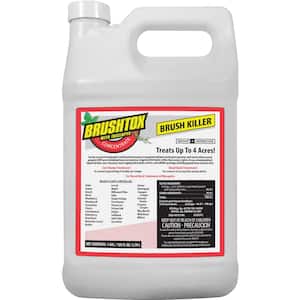 Patio in Weed & Grass Killer