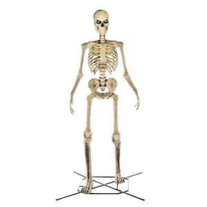 Skeleton in Halloween Decorations