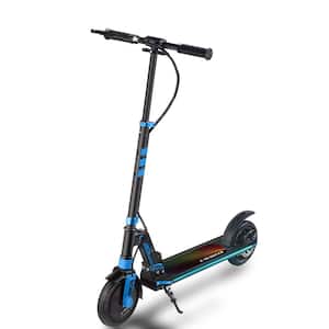 $250 - $300