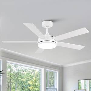 Ceiling Fans With Lights