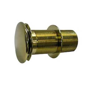 Pop Up in Drains & Drain Parts