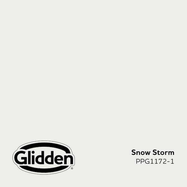 Snow Storm PPG1172-1 Paint