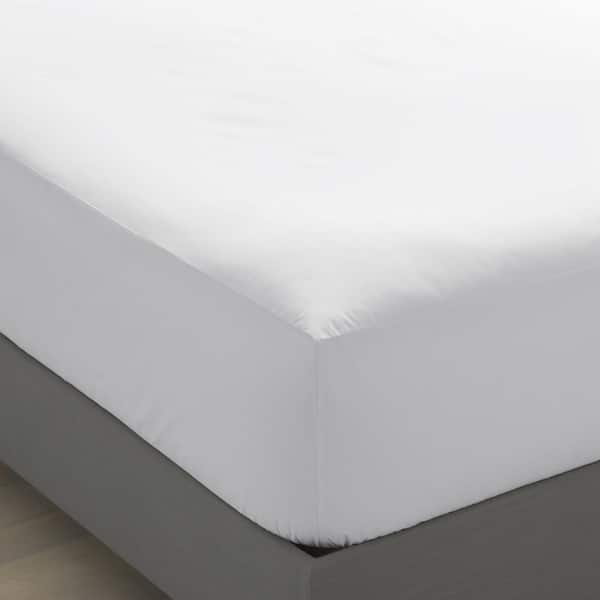 Company Cotton Jersey Knit Fitted Sheet