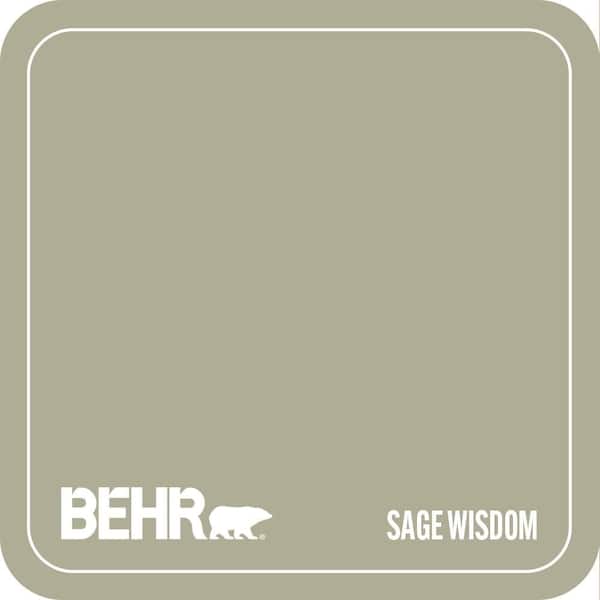 MQ6-27 Sage Wisdom Paint
