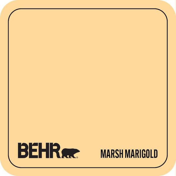P250-3 Marsh Marigold Paint