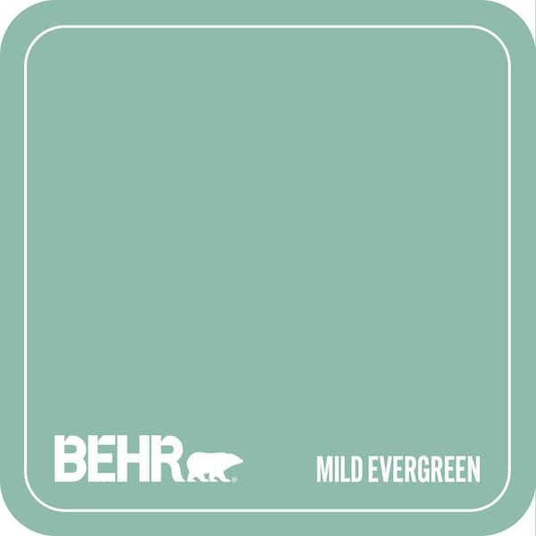MQ6-37 Mild Evergreen Paint
