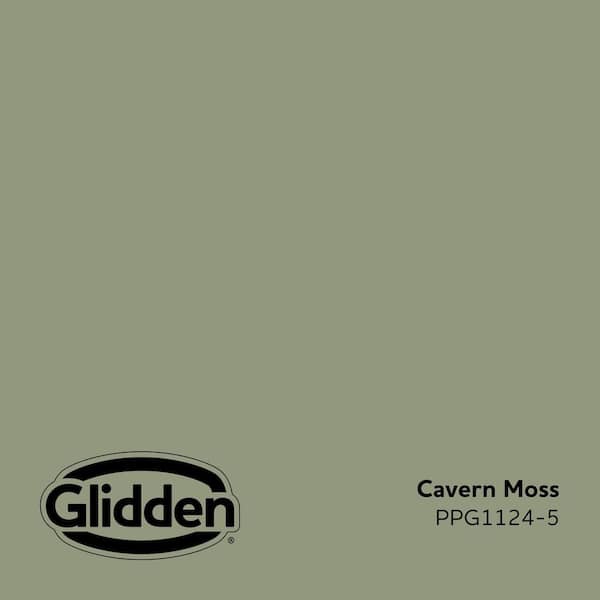 Cavern Moss PPG1124-5 Paint