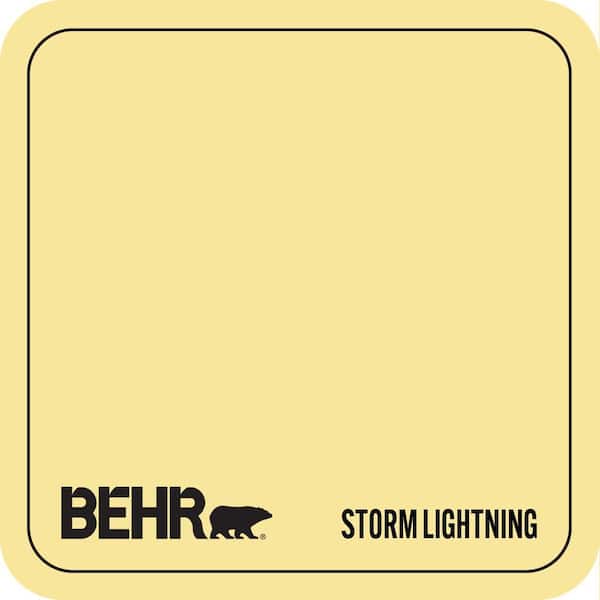 P310-4 Storm Lightning Paint