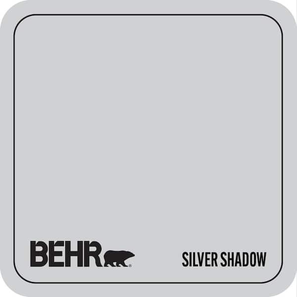 N510-1 Silver Shadow Paint