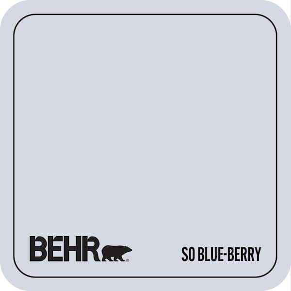 S540-1 So Blueberry Paint