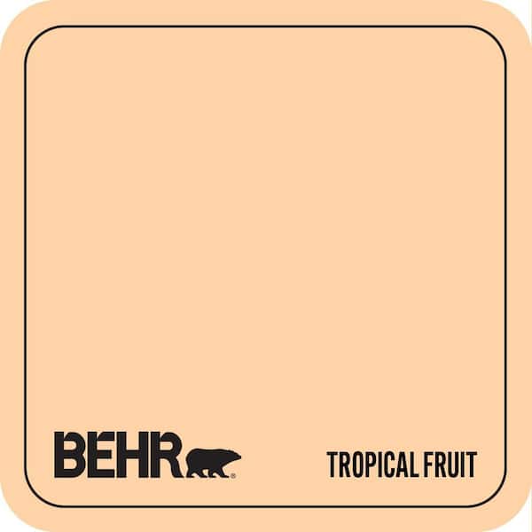 P220-3 Tropical Fruit Paint