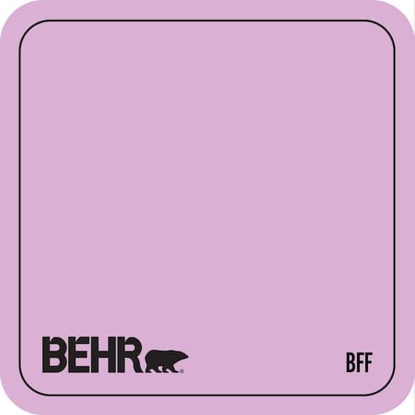 P110-3 BFF Paint