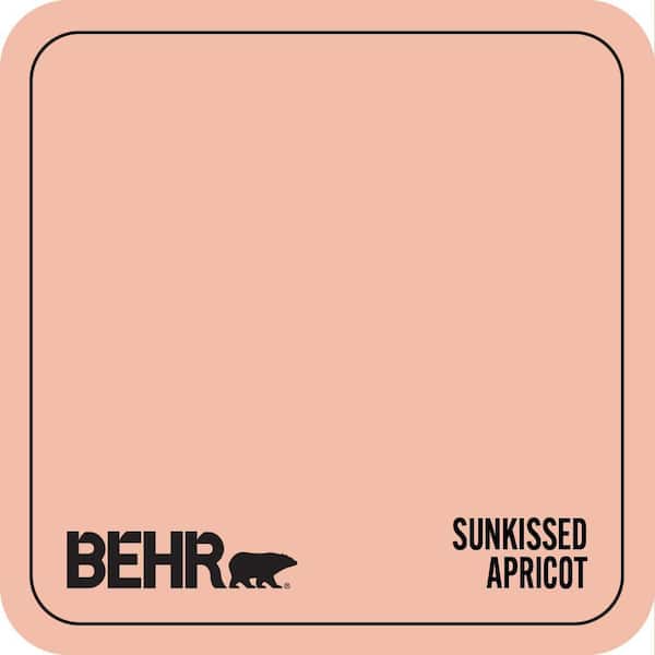 Home Decorators Collection HDC-CT-14A Sunkissed Apricot Paint