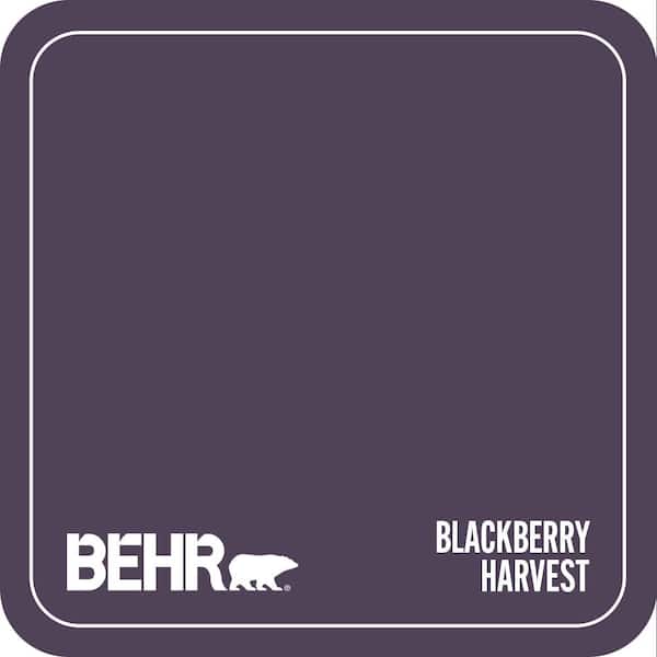S-H-660 Blackberry Harvest Paint