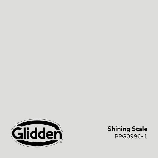 Shining Scale PPG0996-1 Paint