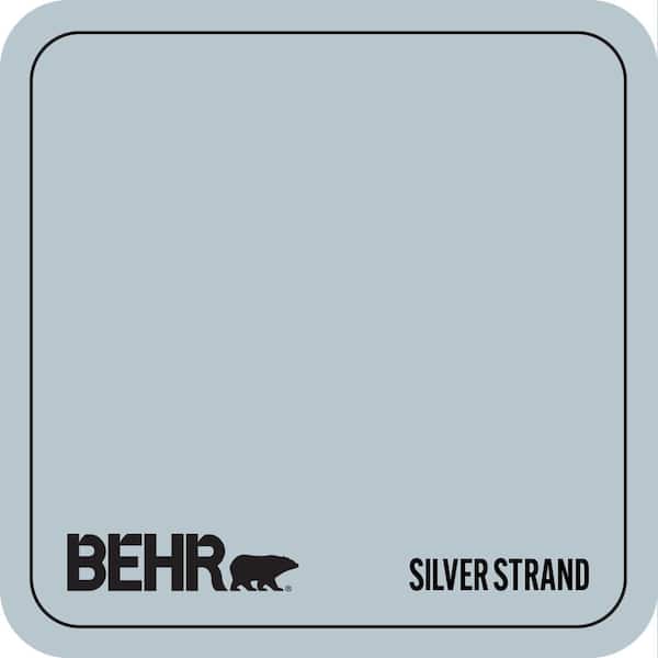 560E-3 Silver Strand Paint