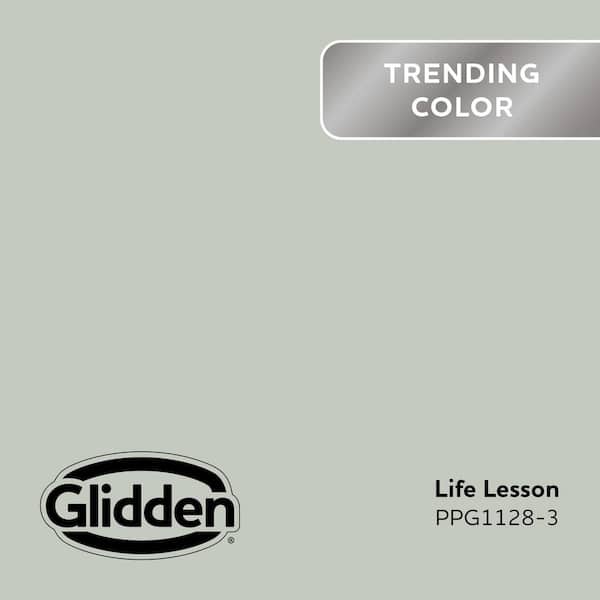 Life Lesson PPG1128-3 Paint