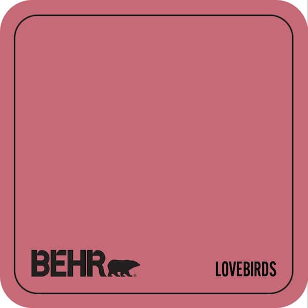 P140-5 Lovebirds Paint