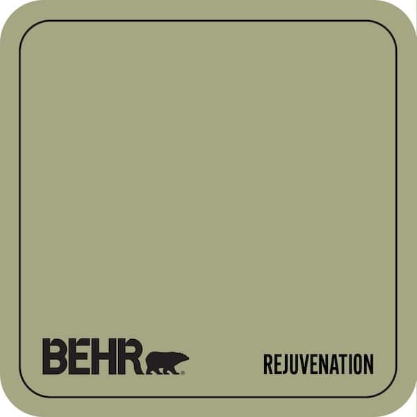 S370-4 Rejuvenation Paint