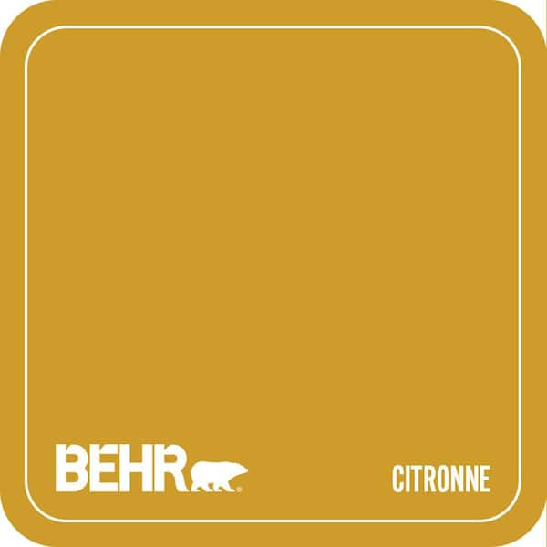 T16-09 Citronne Paint