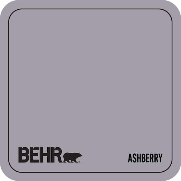 N550-4 Ashberry Paint