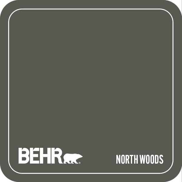 N410-7 North Woods Paint