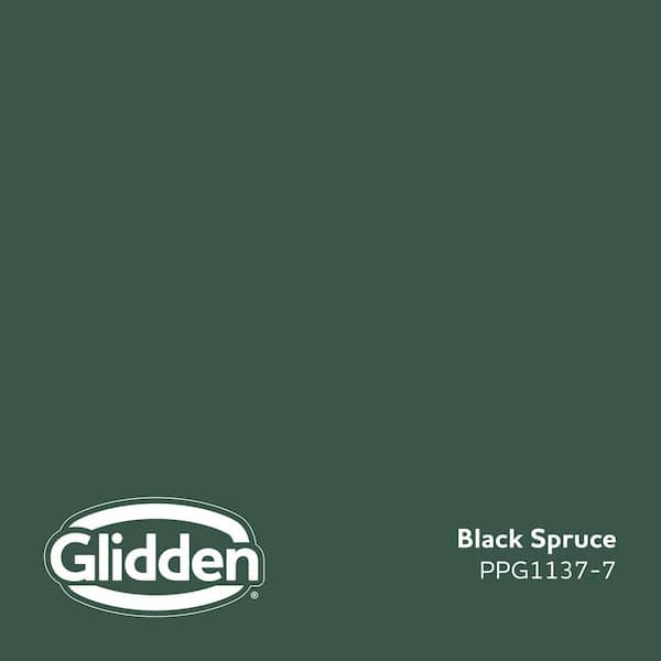 Black Spruce PPG1137-7 Paint