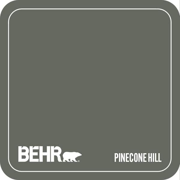 N410-6 Pinecone Hill Paint