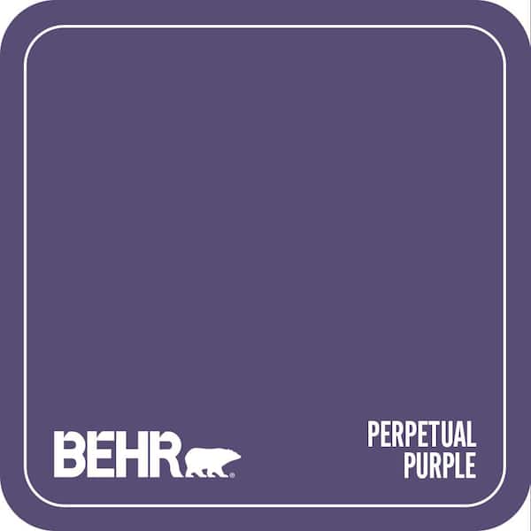 MQ5-42 Perpetual Purple Paint