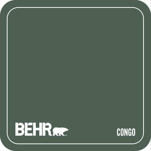 PPU11-20 Congo Paint