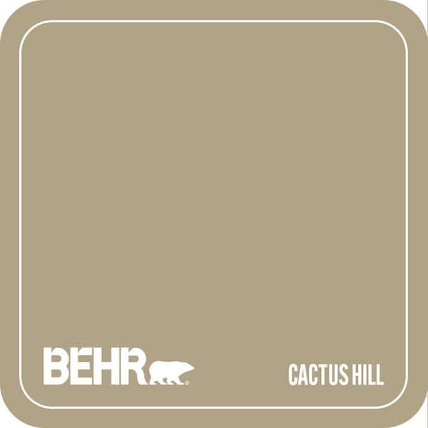 ECC-26-3 Cactus Hill Paint
