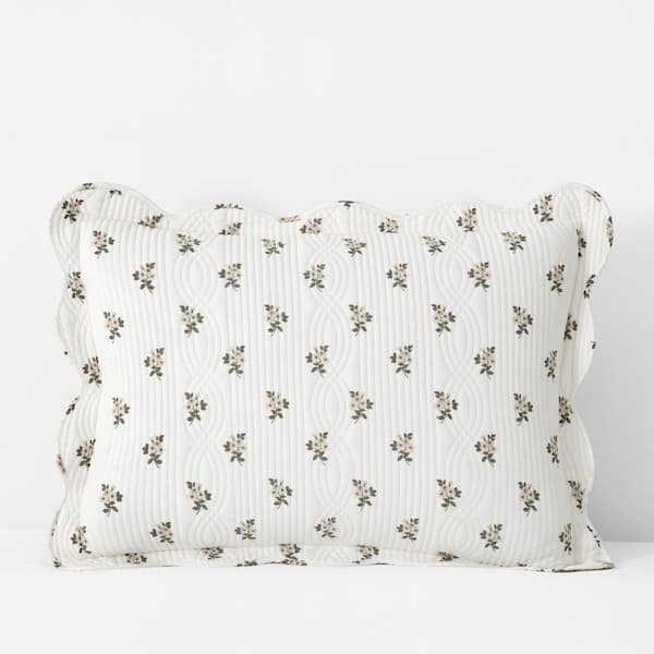 Company Cotton Flower Delight Sham