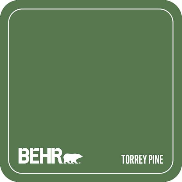 450D-7 Torrey Pine Paint