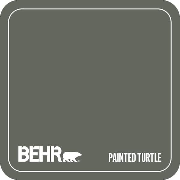 710F-6 Painted Turtle Paint
