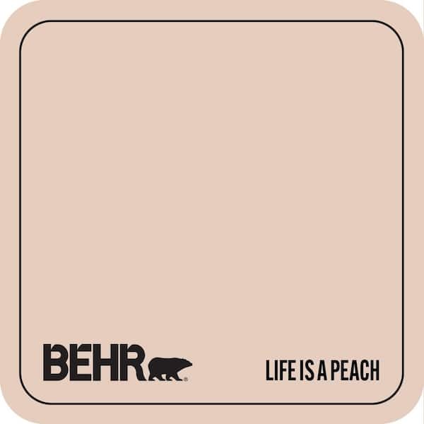 T17-05 Life is a Peach Paint
