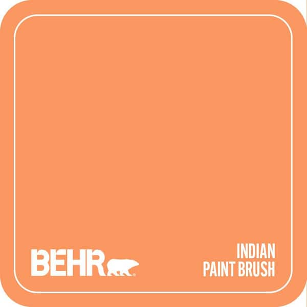 230B-5 Indian Paint Brush Paint