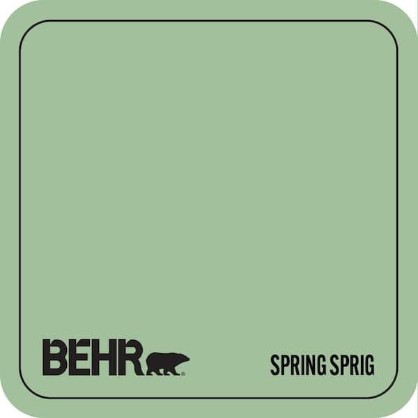 BIC-25 Spring Sprig Paint