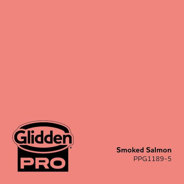 PPG1189-5 Smoked Salmon Eggshell Interior Paint