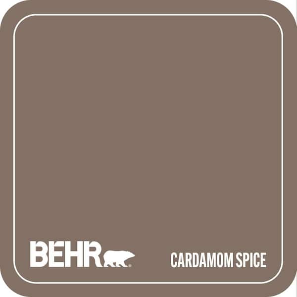PPU5-17 Cardamom Spice Paint