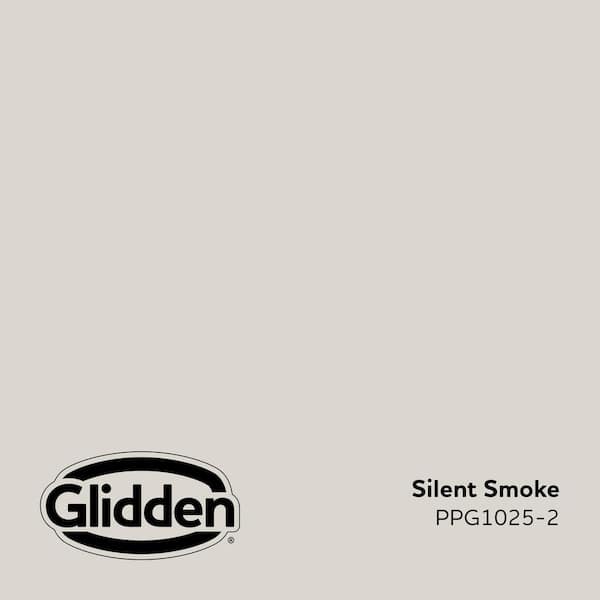 Silent Smoke PPG1025-2 Paint - Comparable to BENJAMIN MOORE'S Balboa Mist