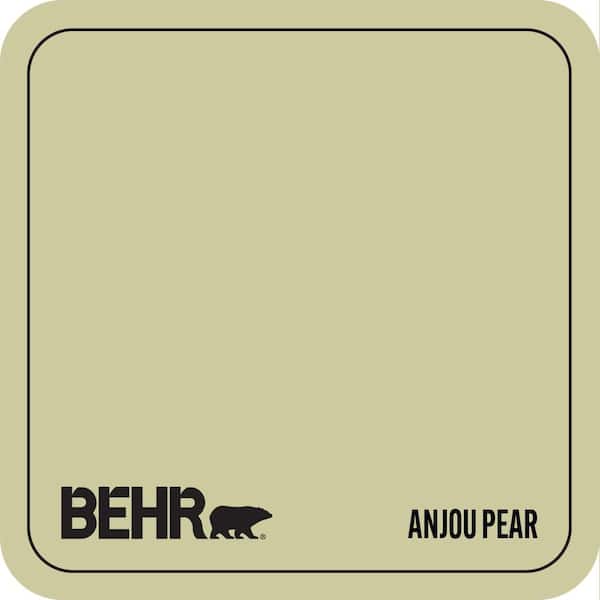 MQ4-41 Anjou Pear Paint