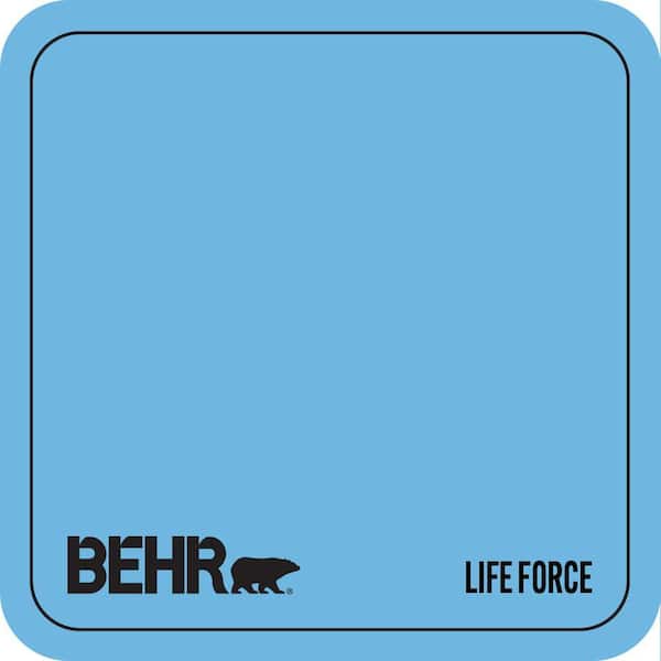 P500-4 Life Force Paint