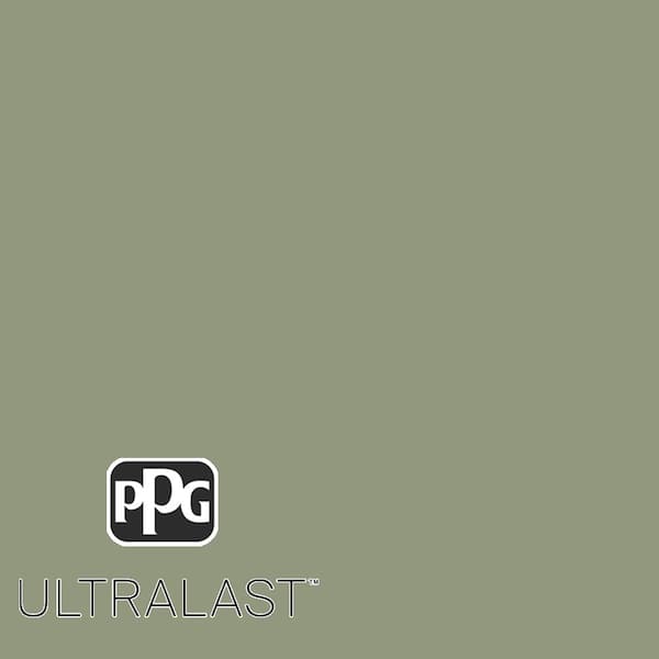 Cavern Moss PPG1124-5  Paint and Primer_UL
