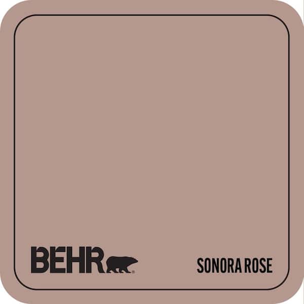 N160-4 Sonora Rose Paint
