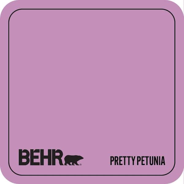 670B-5 Pretty Petunia Paint
