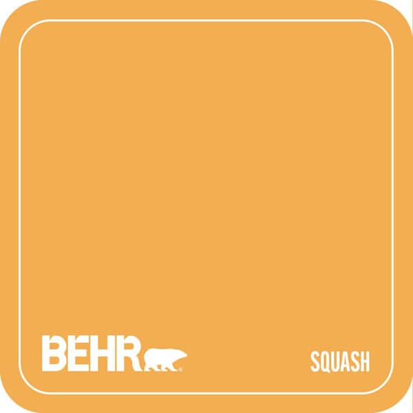 290B-6 Squash Paint