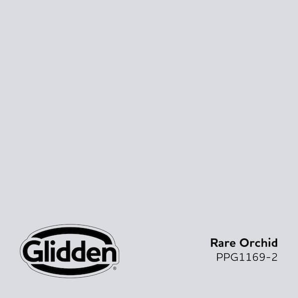 Rare Orchid PPG1169-2 Paint
