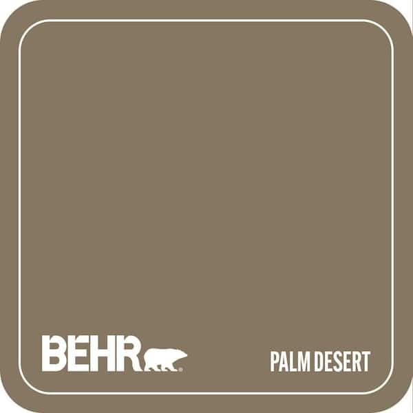 N310-6 Palm Desert Paint
