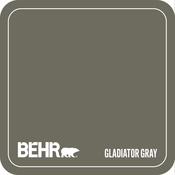 N370-6 Gladiator Gray Paint